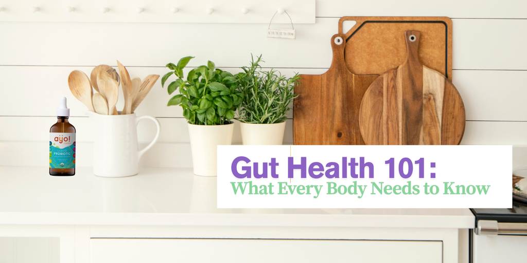 Gut Health 101: What Every Body Needs to Know